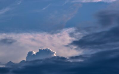 Fungsi Metadata Management Dalam Data Lakehouse